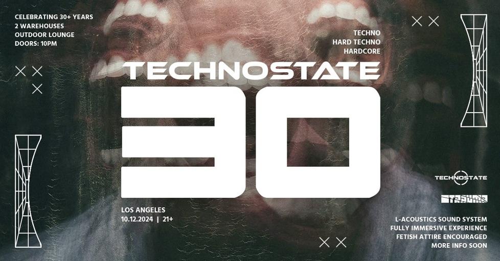 Technostate: 30 Year Anniversary image